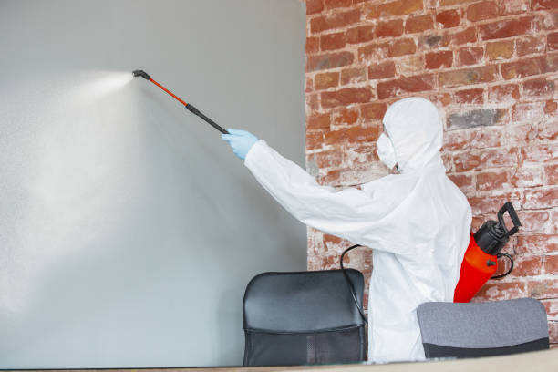 Best Forensic Mold Investigation  in Blackwater, AZ