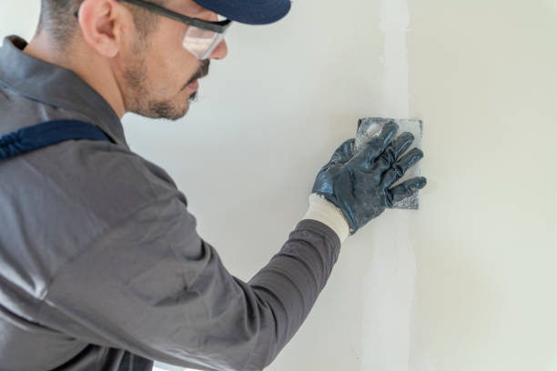 Best Basement Mold Removal  in Blackwater, AZ