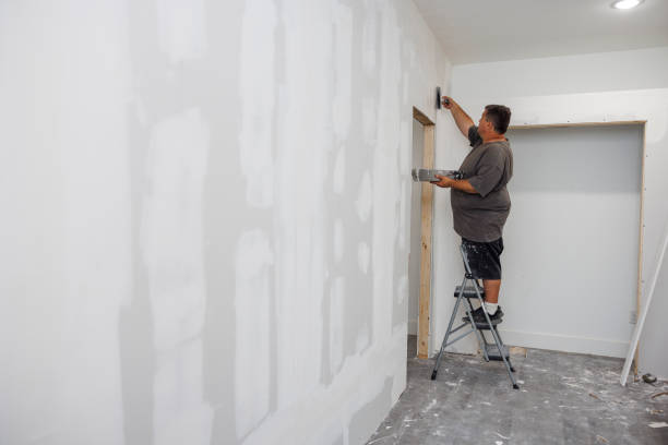 Best Dehumidification Services  in Blackwater, AZ