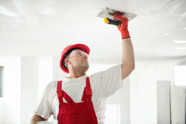 Reliable Blackwater, AZ Mold Removal Solutions