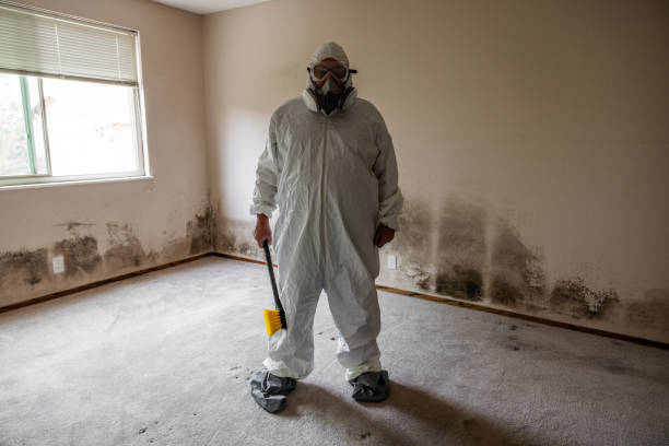 Best Mold Removal for HVAC Installations  in Blackwater, AZ