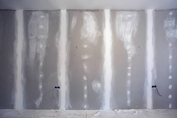 Best Mold Damage Restoration  in Blackwater, AZ